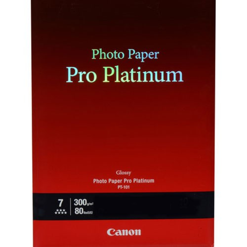 Photo Paper Pro Platinum PT-101 (4x6), 20 Folhas