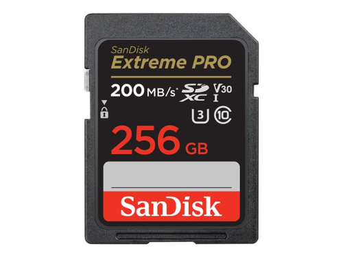 Cartão Memoria Extreme PRO 256GB SDXC 200MB/s & 140MB/s Read/Write speeds, UHS-I, Class 10, U3, V30, SDSDXXD-256G-GN4IN
