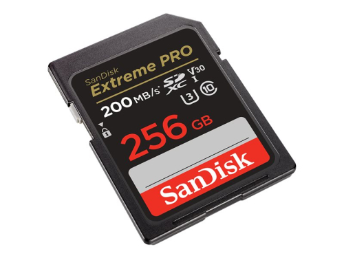 Cartão Memoria Extreme PRO 256GB SDXC 200MB/s & 140MB/s Read/Write speeds, UHS-I, Class 10, U3, V30, SDSDXXD-256G-GN4IN