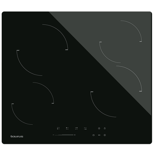 PLACA TAURUS - V6041S