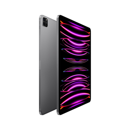 APPLE IPAD PRO 12.9" M2 WI-FI + CELLULAR 1TB SPACE GREY