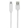 METRONIC CABO USB 2.0 TYPE C / TYPE A 1M