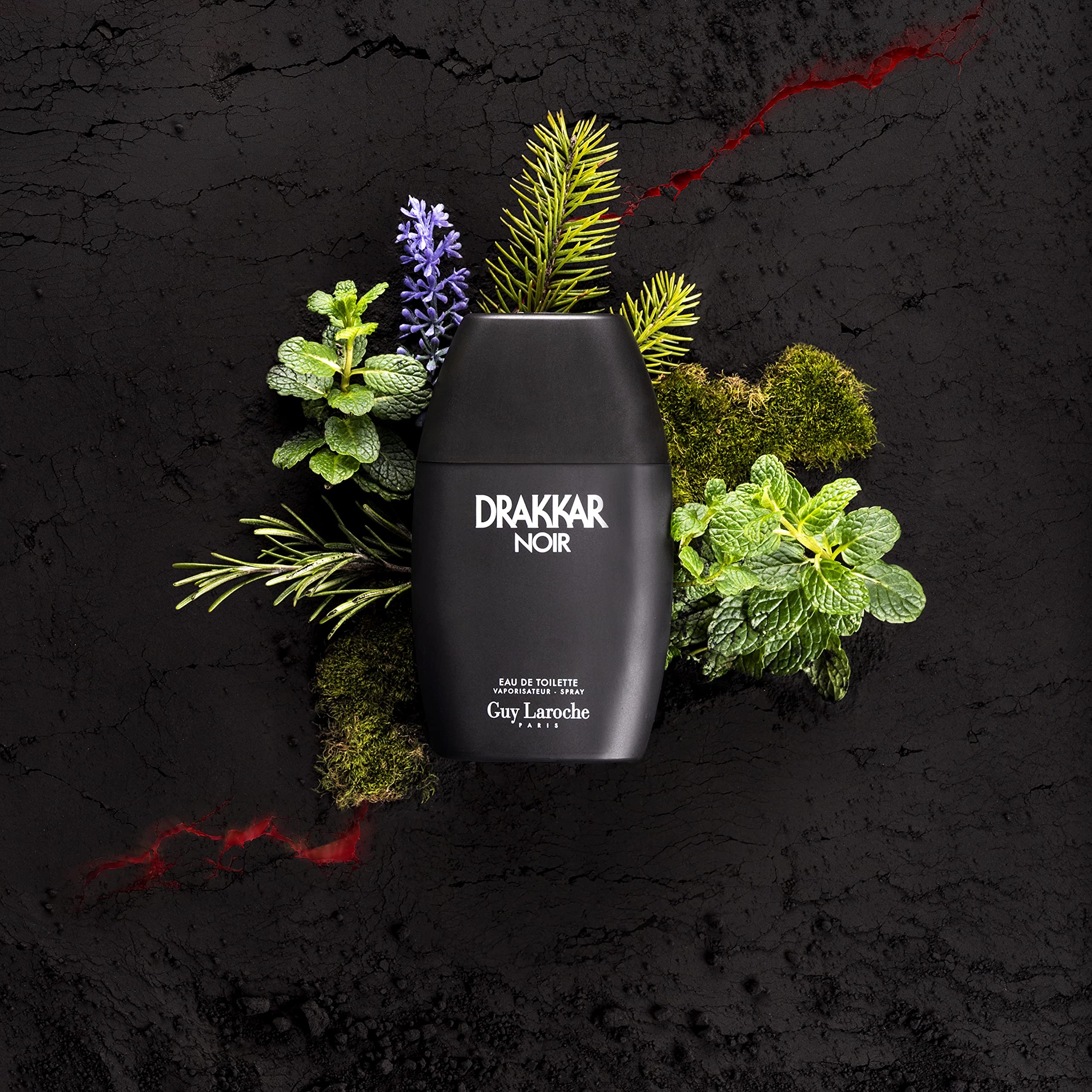 Perfume Drakkar Noir Man Eau de Toilette 100ml