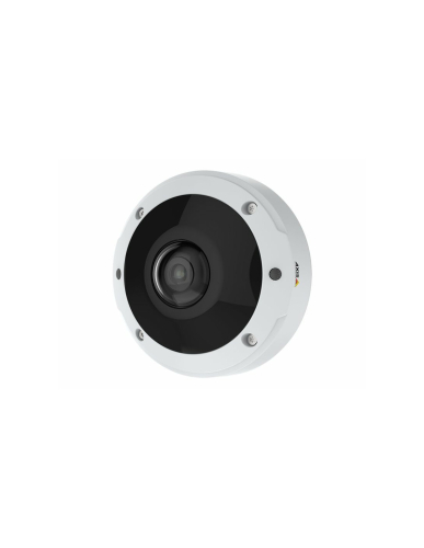 Câmara panorâmica de rede AXIS M3077-PLVE cúpula exterior - à prova de vandalismo / condições climáticas - a cores (Dia&Noite)