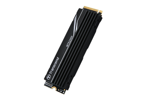 Disco SSD 2 TB  M.2 2280 PCIe 4.0 x4 Transcend MTE250H