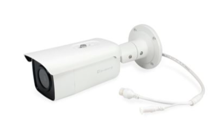 LevelOne Câmara de Segurança Interior e Exterior