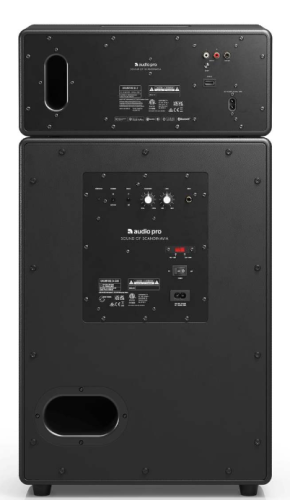 Audio Pro Coluna WiFi BT Drumfire 15220