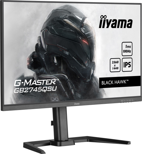 Monitores IIYAMA 27" LCD WQHD Business/Gaming IPS 100Hz