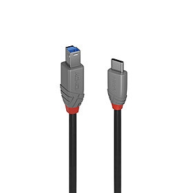 Cabo USB 3.2 tipo C para B de 1 m, 5 Gbps, Anthra Line