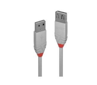 Cabo de Dados LINDY 1M USB 2.0 A