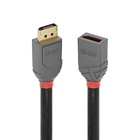 Cabo de extensão DisplayPort de 0,5 m, linha Anthra