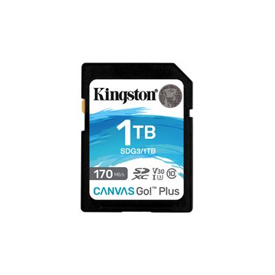 Cartão de Memória Kingston Technology Canvas Go! Plus 1TB Preto
