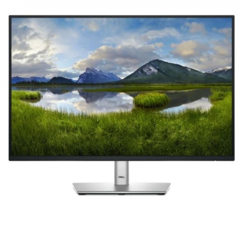 Monitor Dell 24 polegadas  - P2425
