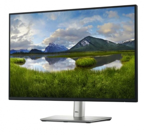 Monitor Dell 24 polegadas  - P2425