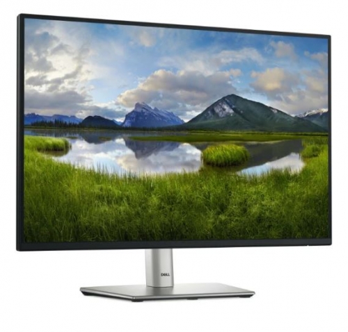 Monitor Dell 24 polegadas  - P2425