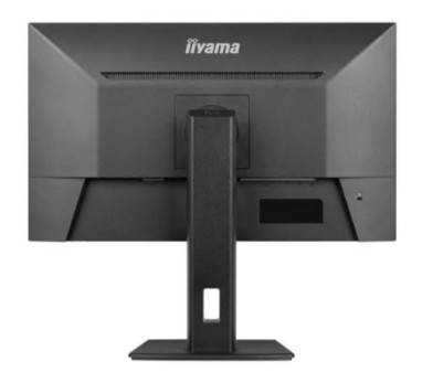 Monitor iiyama ProLite XUB2793QS-B7 LED 27" QHD 100 Hz IPS 300 1 ms Colunas Som preto