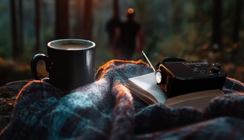 PHILIPS RADIO LANTERNA PORTATIL TAR1609/00