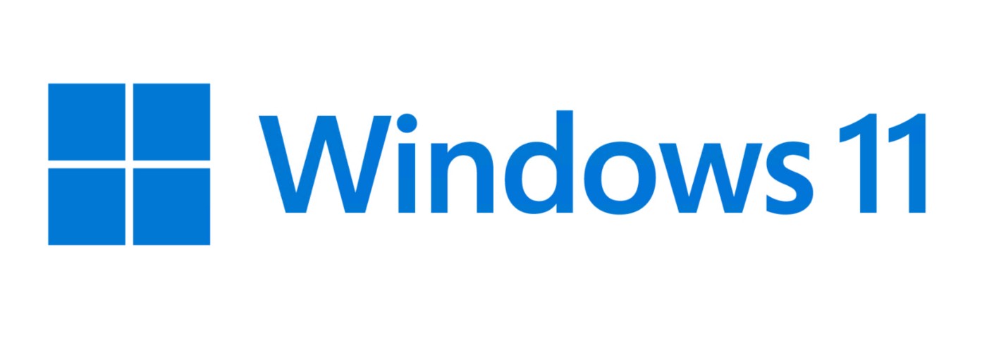 MS 1x Windows 11 Pro GGK 64-Bit DVD OEM English International (EN)