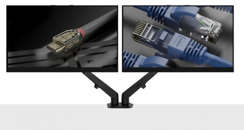 LINDY Braço de mola a gás de mesa com montagem dupla - Preto