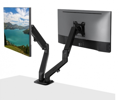 LINDY Braço de mola a gás de mesa com montagem dupla - Preto