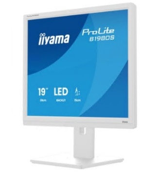 Monitor iiyama ProLite B1980S-W1 LED 19" 75 Hz TN 250  3 ms branco