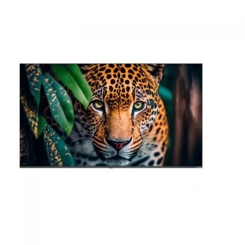 Monitor de sinalização Newline 55 polegadas Android 14 Wifi - STV-5524P