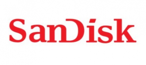 Cartão de memória flash 480 GB CFexpress Tipo A SanDisk PRO-CINEMA SDCFEA-480G-GN4NN