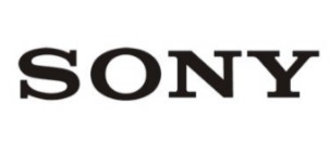 Sony TEOS Manage Entry Licença de assinatura (1 ano) Windows, TEM-EL1Y