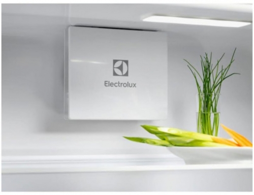 Frigorífico ELECTROLUX 1 Porta ERD6DE18C Classe E