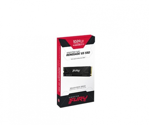 SSD FURY RENEGADE G5 PCIE M2 NVME 1024