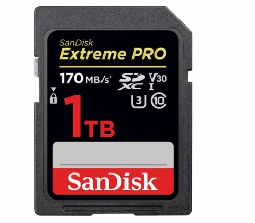 Extreme PRO 1TB SDXC Memory Card up to 170MB/s, UHS-I, Class 10, U3, V30 - TSDSDXXY-1T00-GN4IN