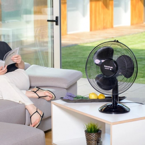 VENTOINHA TAURUS GRECO 16 ELEGANCE (FA017) - 944.682