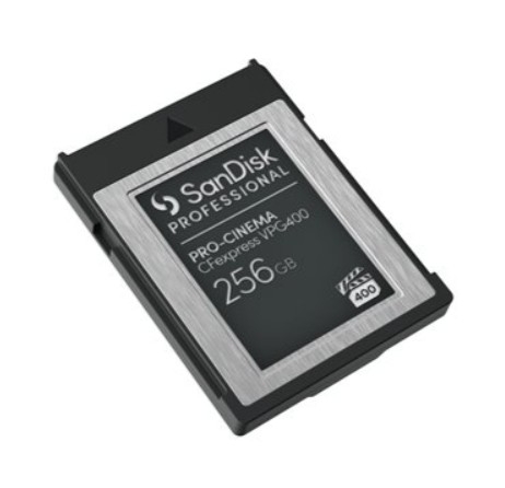 Cartão de memória flash 256 GB CFexpress Tipo B preto SanDisk Professional - SDPCVN4-256G-GNANN