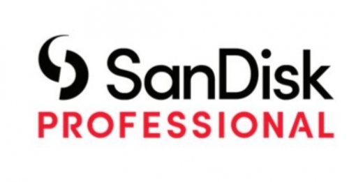 Cartão de memória flash 256 GB CFexpress Tipo B preto SanDisk Professional - SDPCVN4-256G-GNANN