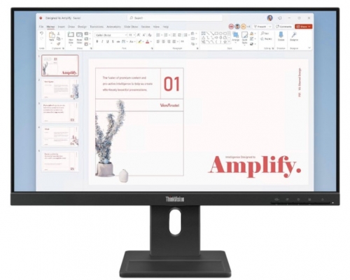 Monitor LENOVO ThinkVision E24-40 23.8inch IPS 100Hz Speakers 2x2W