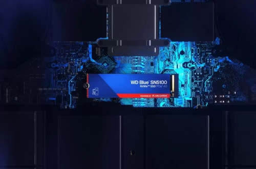 Disco SSD SanDisk WD Blue SN5100 NVMe - 500 GB  WDS500G5B0E-00CPE0