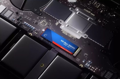 Disco SSD SanDisk WD Blue SN5100 NVMe - 500 GB  WDS500G5B0E-00CPE0