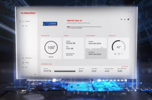 Disco SSD SanDisk WD Blue SN5100 NVMe - 500 GB  WDS500G5B0E-00CPE0