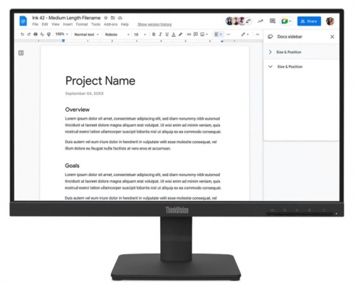 Monitor LENOVO ThinkVision S22-4e 21.5inch FHD IPS 100Hz HDMI VGA