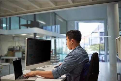 3M - Filtro de privacidade do display - amovível - magnético - 25", PF250W1EM