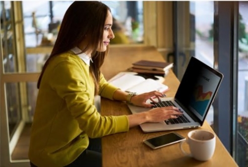 3M Bright Screen Privacy Filter - Filtro de privacidade de notebook (horizontal) - 17.3", BP173W9B