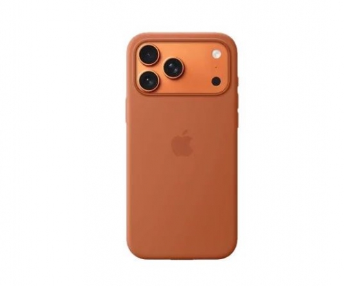 Capa em Silicone com Magsafe para iPhone 17 Pro Max Terracota