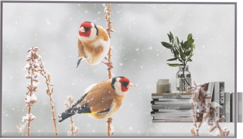 MONITOR LG 55EW5P-M OLED PROFISSIONAL 55" FHD 18/7 TRANSPARENTE