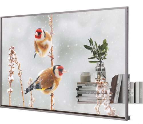 MONITOR LG 55EW5P-M OLED PROFISSIONAL 55" FHD 18/7 TRANSPARENTE