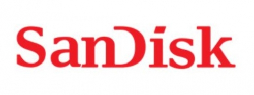 Disco SSD 500 GB interna M.2 2280 PCIe 3.0 SanDisk SSD PLUS SDSSDA3N-500G-G26