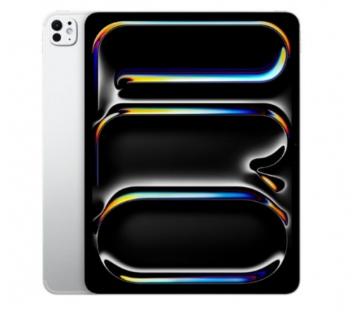 APPLE IPAD PRO 11" WI-FI 2TB WITH STANDARD GLASS SILVER , MDWV4TY/A