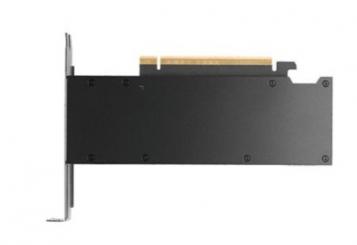 PLACA GRÁFICA PNY NVIDIA RTX PRO 2000 Blackwell 16GB GDDR6 ECC 4xMini DP - VCNRTXPRO2000-PB