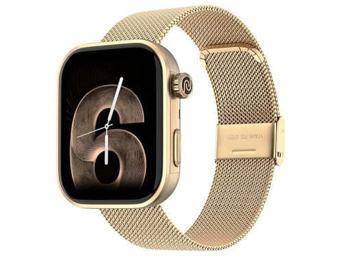 NOISE - Smartwatch Pro 6 AI Champagne Link | wrb-sw-colorfitpro6-meshmtl-cgld_cgld