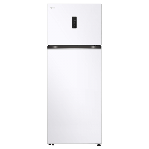 Frigorífico 2 Portas LG GTBV44SWBKD Classe E