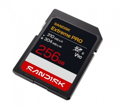 Cartão de Memória SDXC SanDisk Extreme PRO UHS-II V90 256 GB – SDSDXDE-256G-GN4IN